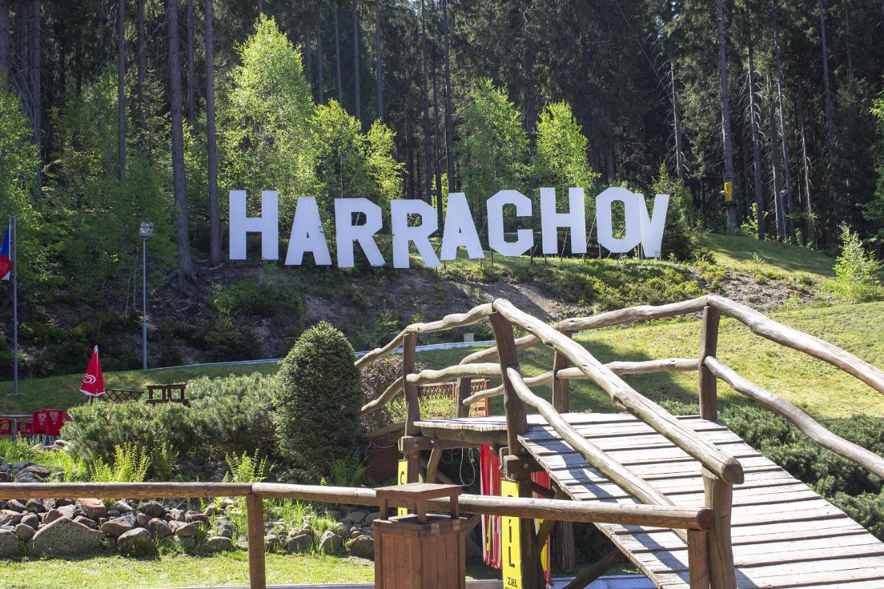 Enjoy Harrachov - Atraktivní slunné studio Čertovka v centru Harrachova s herní konzolí, Netflix, jedinečným výhledem na Čertovu horu a areál skokanských můstků se sjezdovkou Esterno foto